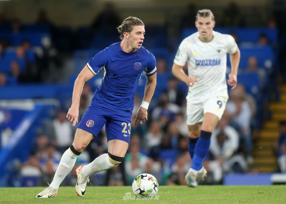 全景式观察 全景式观察